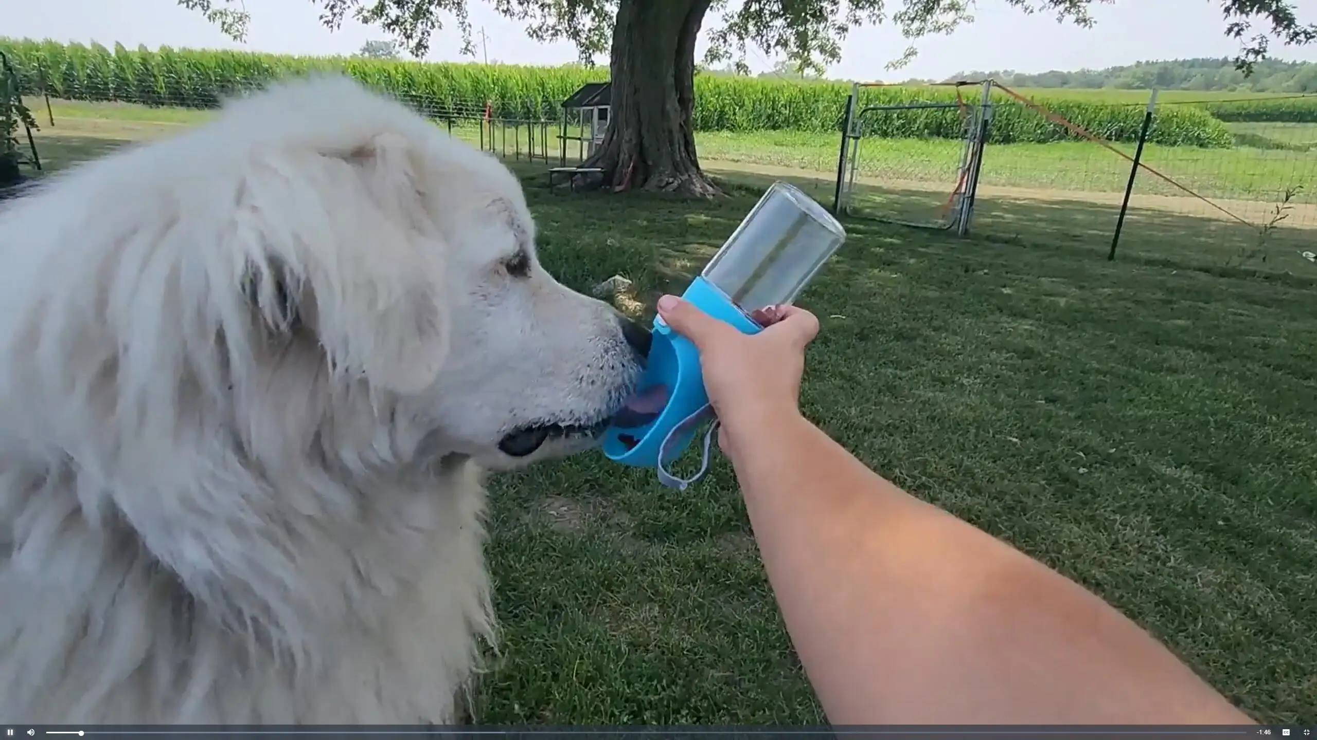 Handheld Dog Food & Treat Dispenser Training Pouch for Small Breeds Dogs Canine Training Aids and Behavior Accessories Supplies