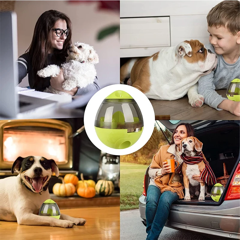 Interactive Cat Toy IQ Treat Ball Smarter Pet Toys Food Ball Food Dispenser For Cats Playing Training Balls Pet Supplies