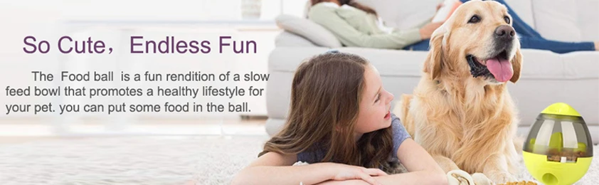 Interactive Cat Toy IQ Treat Ball Smarter Pet Toys Food Ball Food Dispenser For Cats Playing Training Balls Pet Supplies