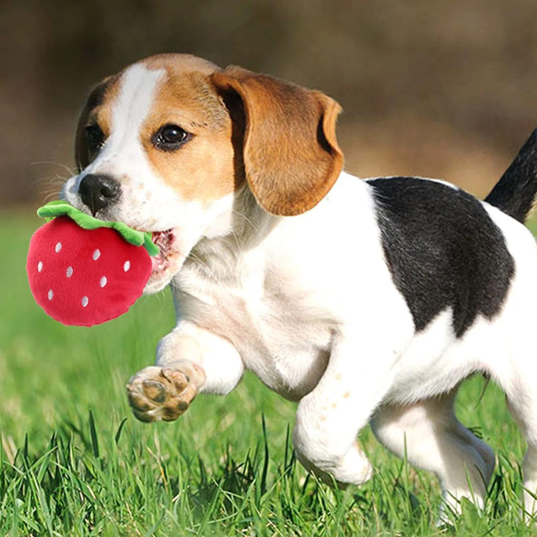 1pc Plush Squeaky Bone Dog Toys Bite-Resistant Clean Dog Chew Puppy Training Toy Soft Banana Carrot And Vegetable Pet Supplies