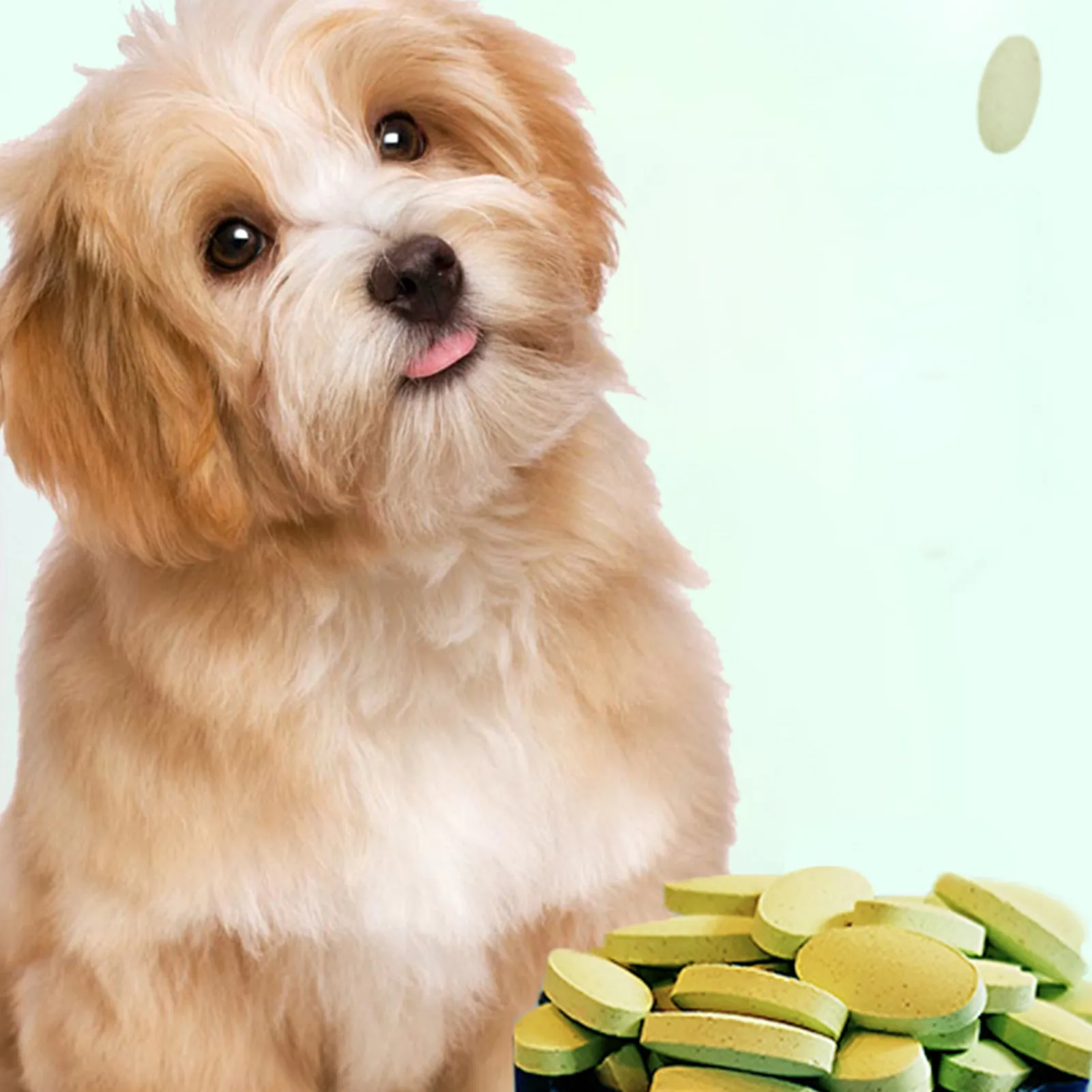 Pets Multivitamin Chewable Dog Vitamins with VB VA VD VE Dog Health Supplies for Dogs of All Ages