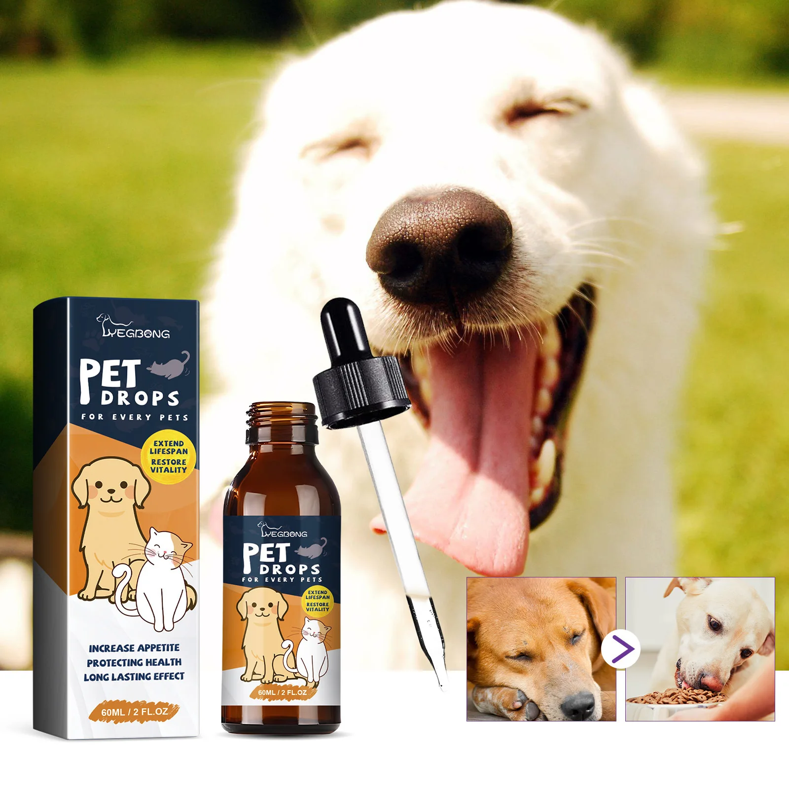 Pet Nutrition Supplement Gastrointestinal Care Stomach Conditioning Improve Digestion Health Enhance Appetite Dog Health Drop