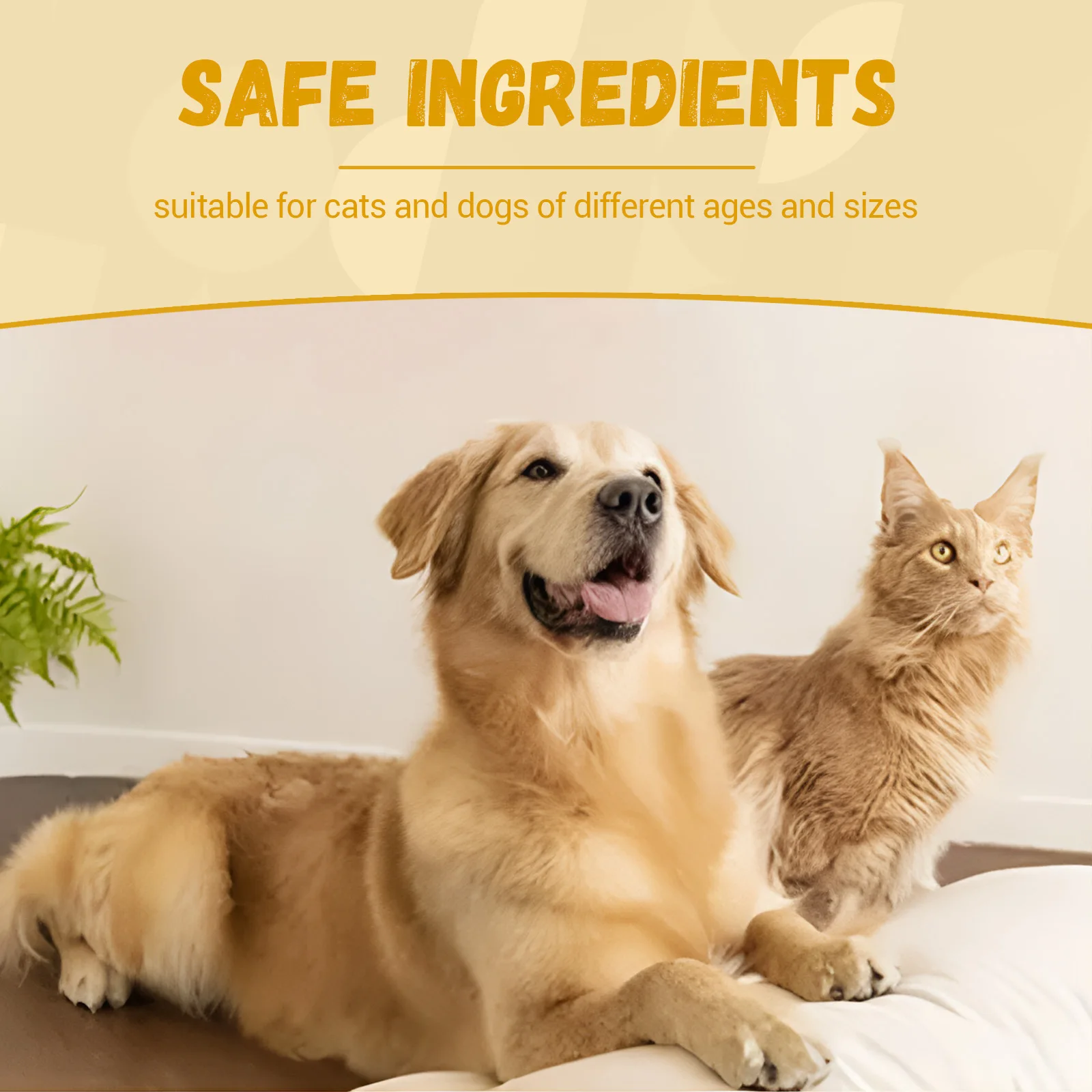 Dog Bladder Drop Urinary Tract Care Cat Bladder Support Prevent Kidney Failure Enhance Immunity Health Pet Cystitis Relief Drop