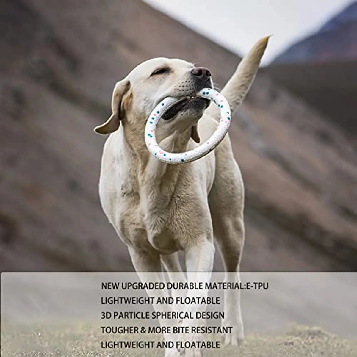 Dog Bite Ring Toys for Aggressive Chewers DurableDog Bite Ring Toys for Small Medium Dogs To Fetch Chew Play Dog Accessories Dog Bite Ring Toys for Aggressive Chewers DurableDog Bite Ring Toys for Small Medium Dogs To Fetch Chew Play Dog Accessories