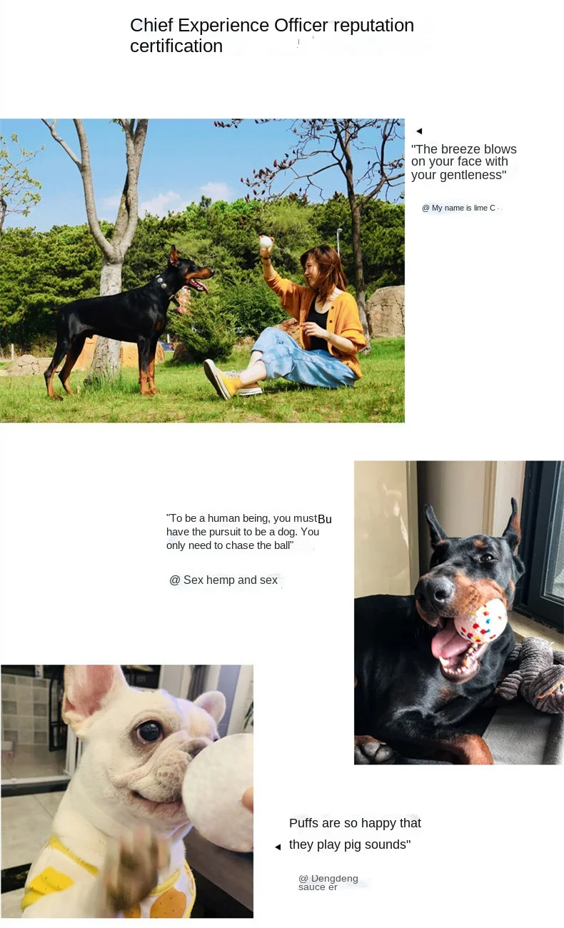 Pet Dog Toy Fetch Ball Light Chew Rubber Ball High Elastic Bite Resistance Interactive Throwing Flying Toys for Dogs Accessories Pet Dog Toy Fetch Ball Light Chew Rubber Ball High Elastic Bite Resistance Interactive Throwing Flying Toys for Dogs Accessories