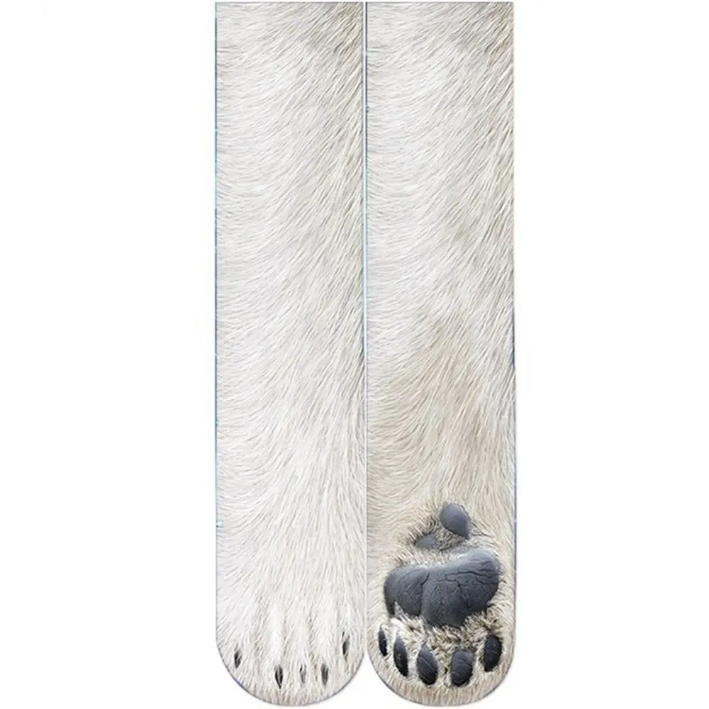 A Polar Bear