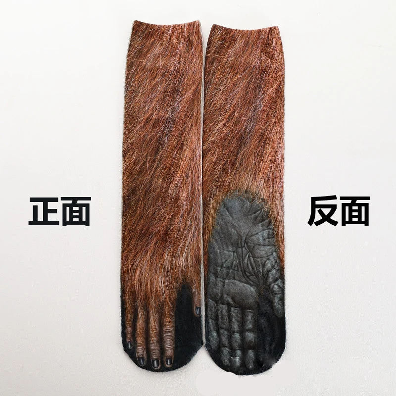 orangutans