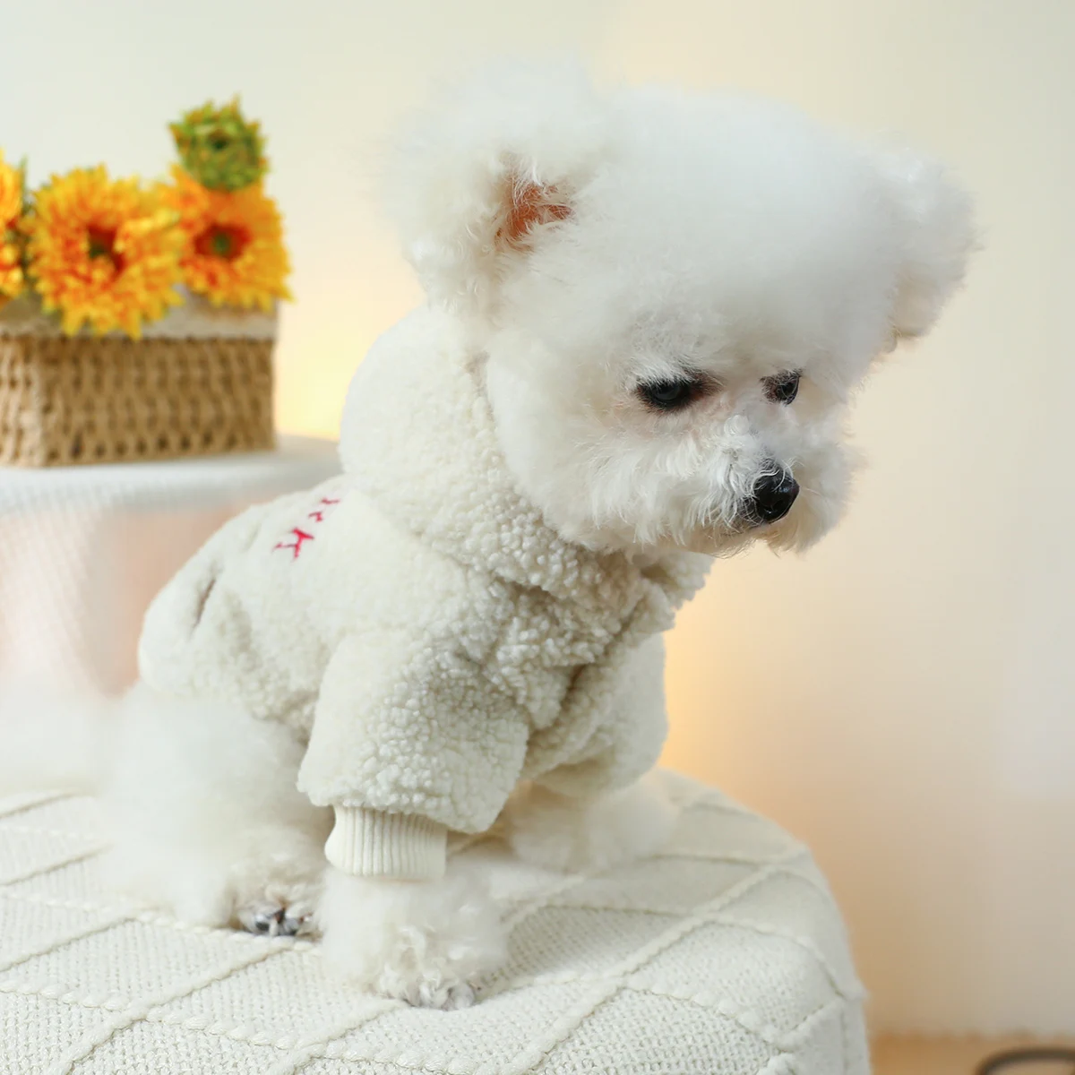 1PC Pet Apparel Dog Cat Autumn/Winter Thickened Warm White New York Coat Hoodie With Drawstring Buckle For Small Medium Dogs 1PC Pet Apparel Dog Cat Autumn/Winter Thickened Warm White New York Coat Hoodie With Drawstring Buckle For Small Medium Dogs