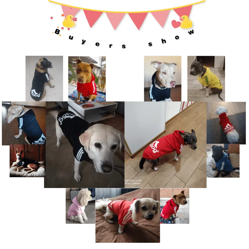 2021 Winter Pet Dog Clothes Dogs Hoodies Fleece Warm Sweatshirt Small Medium Large Dogs Jacket Clothing Pet Costume Dogs Clothes