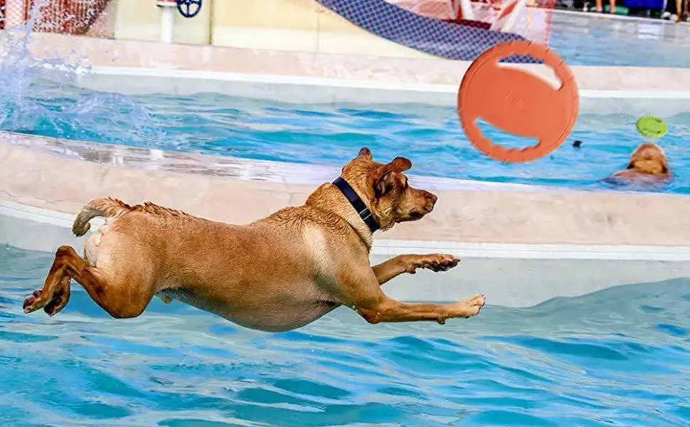 1PC Dog Flying Disc Interactive Rubber Dog Toys Soft Floating Dog Catcher Toy for Pet Training & Chewing 1PC Dog Flying Disc Interactive Rubber Dog Toys Soft Floating Dog Catcher Toy for Pet Training & Chewing
