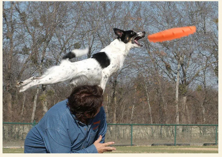 1PC Dog Flying Disc Interactive Rubber Dog Toys Soft Floating Dog Catcher Toy for Pet Training & Chewing 1PC Dog Flying Disc Interactive Rubber Dog Toys Soft Floating Dog Catcher Toy for Pet Training & Chewing