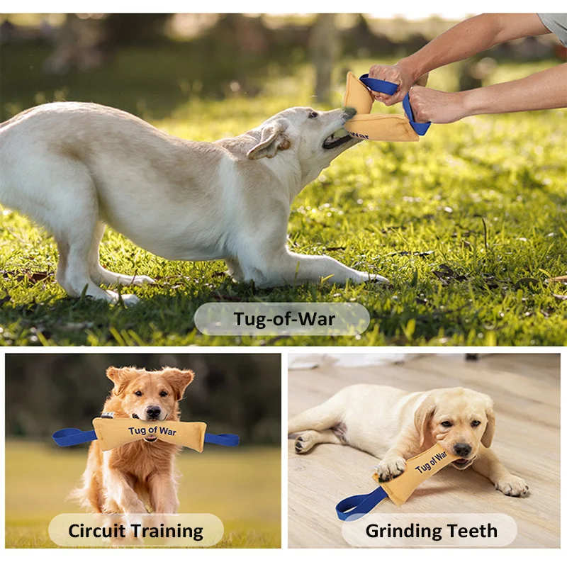 Dog Bite Tug Toy Durable Yellow Pull Toy Strong Blue Handles Tough Nylon Dog Tug of War Dog Bite Toys for Dog Training Grinding Dog Bite Tug Toy Durable Yellow Pull Toy Strong Blue Handles Tough Nylon Dog Tug of War Dog Bite Toys for Dog Training Grinding