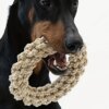 Pet Dog Rope Toy Durable Chew Bite Resistant Pet Toys for Medium Large Dogs Golden Retriever Pitbull Labrador Supplies