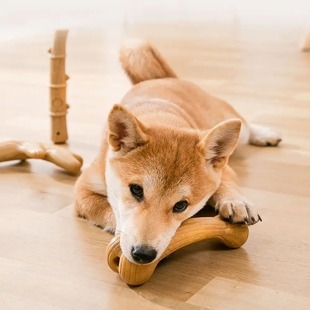 Dog Chew Toys Bone Antler Shape Pine Wood Fiber Molar Teeth Clean Stick Puppy Interactive Training Bite Resistant Pet Supply