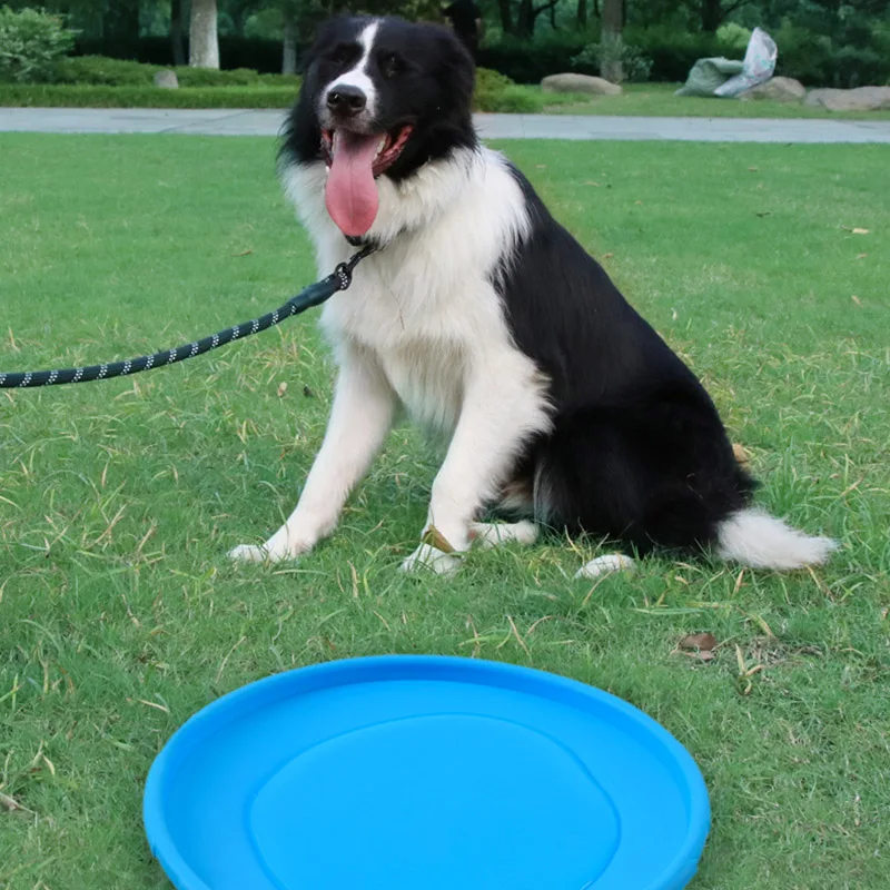 Pet Dog Flying Disk Toy Silicone Dog Cat Toy Dog Game Flying Discs Resistant Chew Puppy Training Interactive Pet Supplies Pet Dog Flying Disk Toy Silicone Dog Cat Toy Dog Game Flying Discs Resistant Chew Puppy Training Interactive Pet Supplies