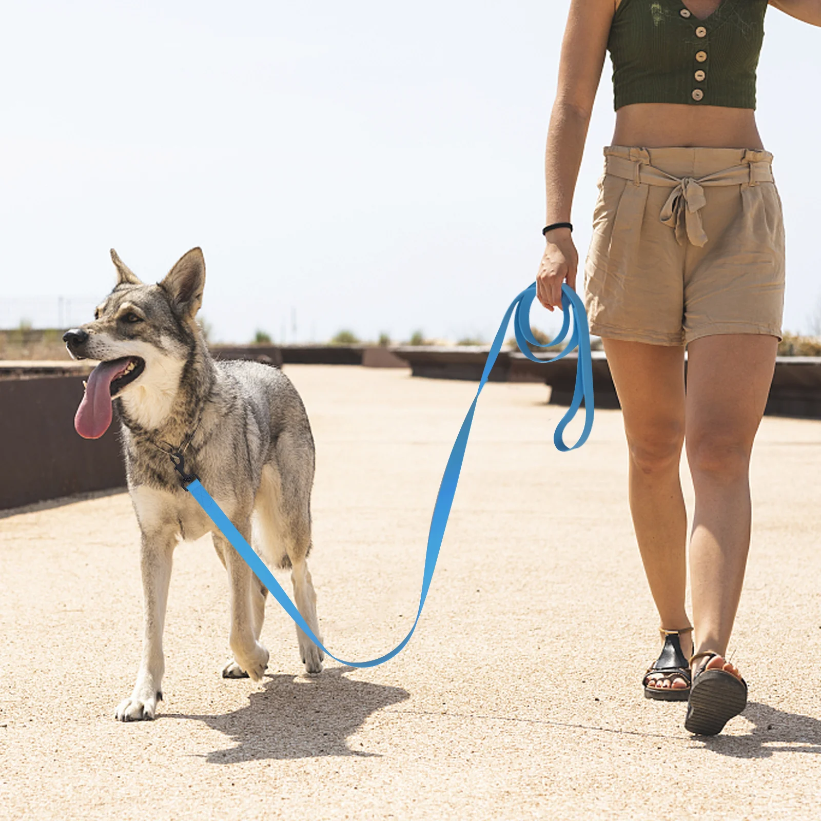 1.5m/3m/5m/10m Strong 2.5cm Width PVC Dog Leash Multicolor Durable Waterproof Dog Training Leash for Dogs 1.5m/3m/5m/10m Strong 2.5cm Width PVC Dog Leash Multicolor Durable Waterproof Dog Training Leash for Dogs