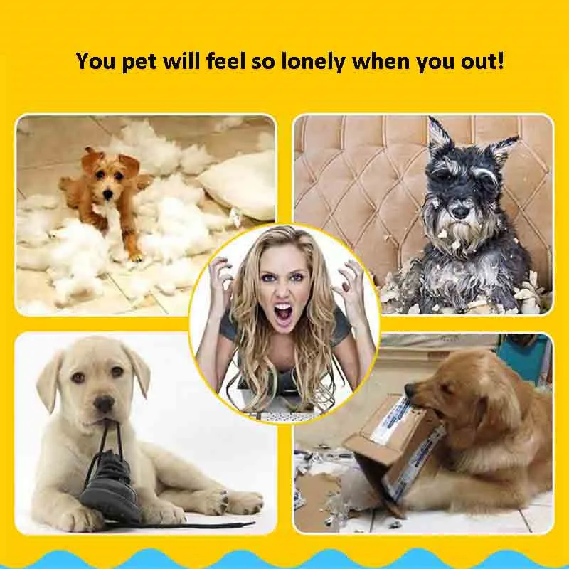 10PCS Random Pet Dog Toy Puppy Cat Vinyl Ball Dog Squeaky Toy Quack Chew Sound Play Fetching Funny Toy For Small Dog 10PCS Random Pet Dog Toy Puppy Cat Vinyl Ball Dog Squeaky Toy Quack Chew Sound Play Fetching Funny Toy For Small Dog