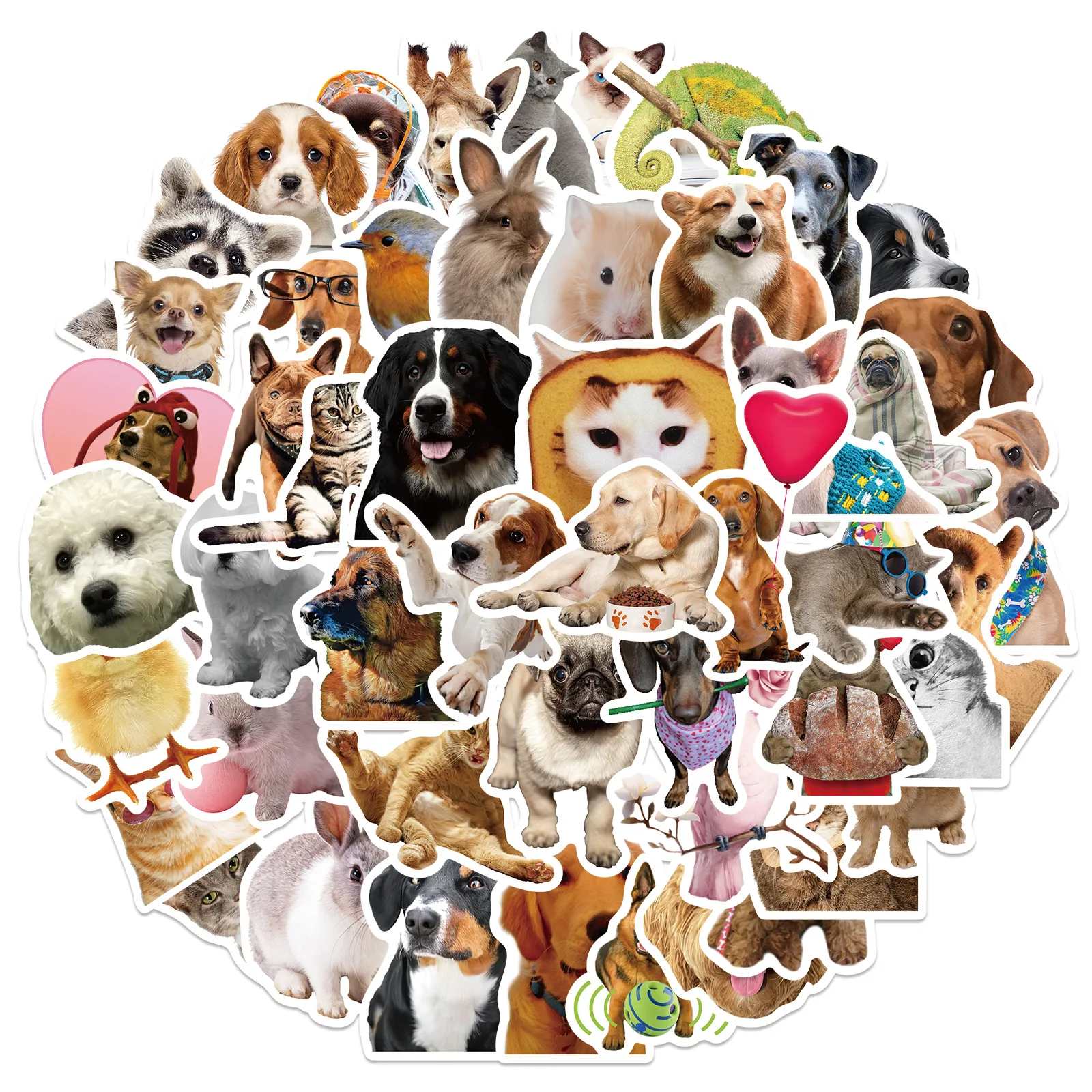 50 PCS Funny Dog Stickers Cute Animal Sticker for Journaling Laptop Scrapbook Water Bottles Guitar Suitcase Phone Snowboard