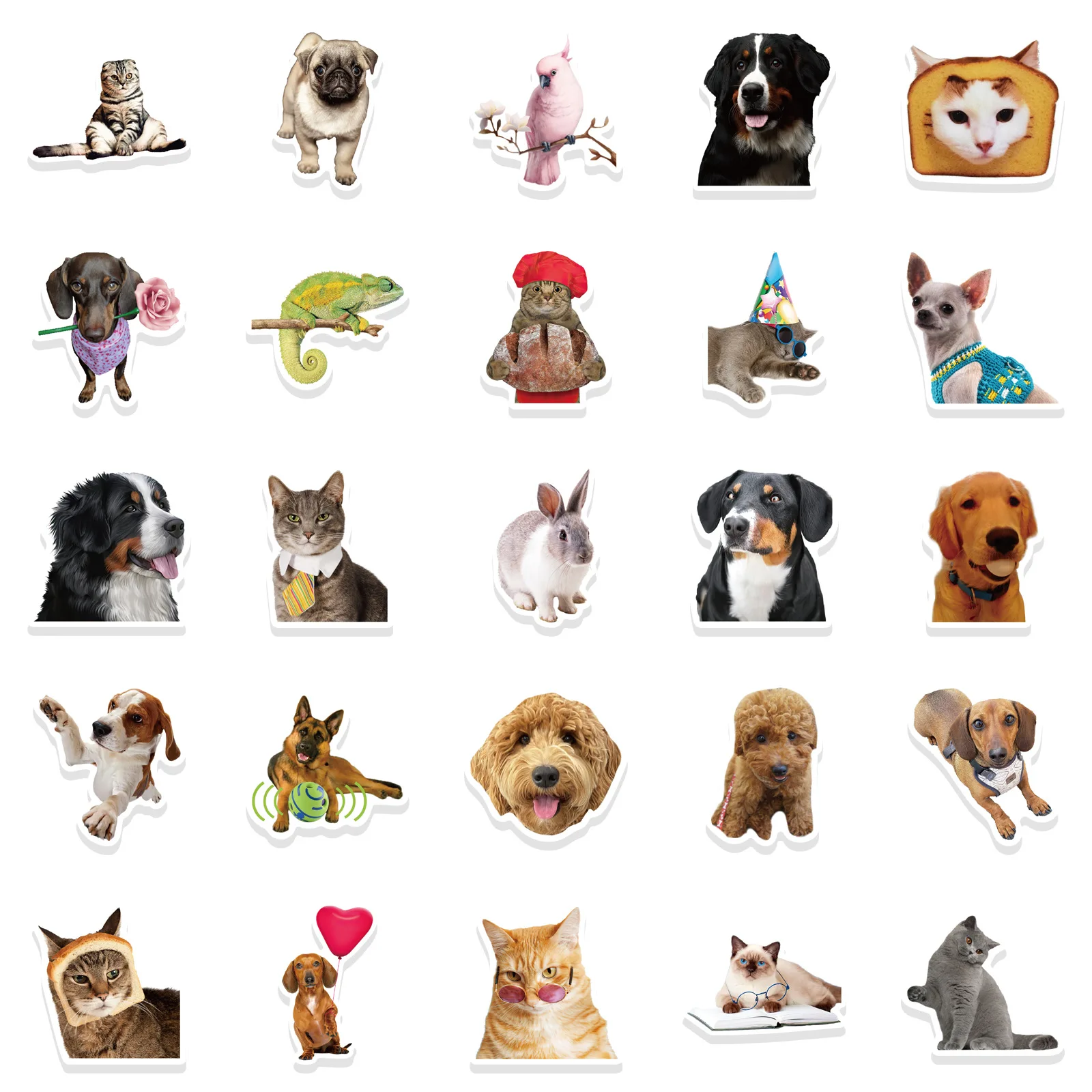 50 PCS Funny Dog Stickers Cute Animal Sticker for Journaling Laptop Scrapbook Water Bottles Guitar Suitcase Phone Snowboard