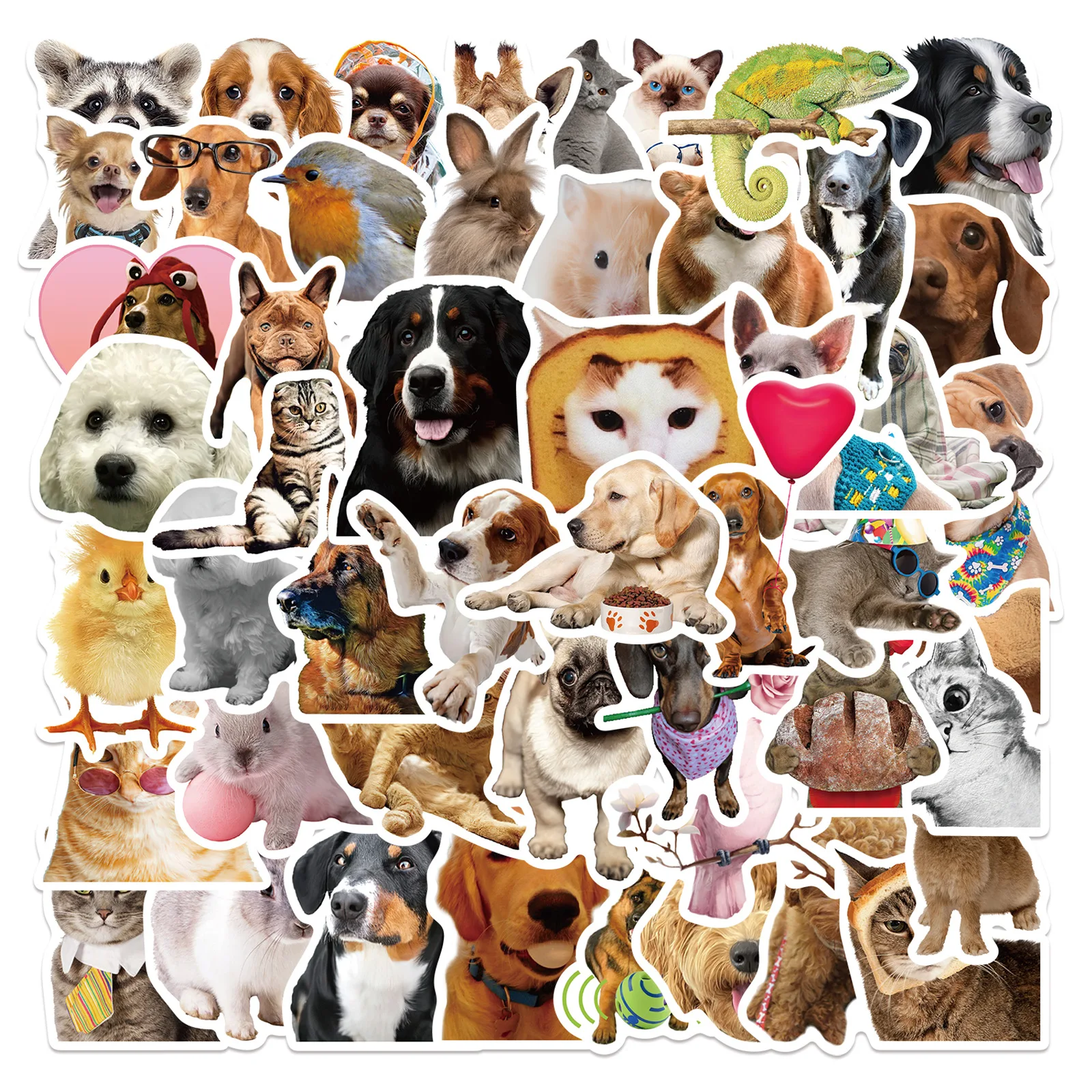 50 PCS Funny Dog Stickers Cute Animal Sticker for Journaling Laptop Scrapbook Water Bottles Guitar Suitcase Phone Snowboard