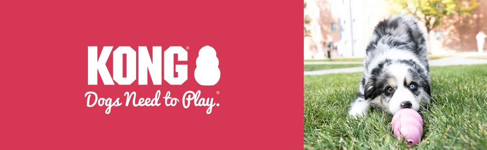 KONG All series And All Size  For Puppy Wobbler Dog Cat Toy Of Flyer Tires Durable Natural Rubber Fun to Chew Chase and Fetch