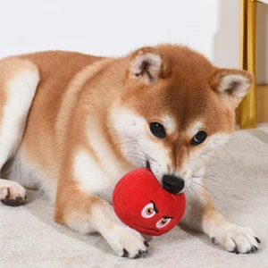 Pet Toy Play Squeakers Ball Chewing Toy Fetch Bright Balls Dog Supplies Puppy Popular Toys Interactive Cat Toy