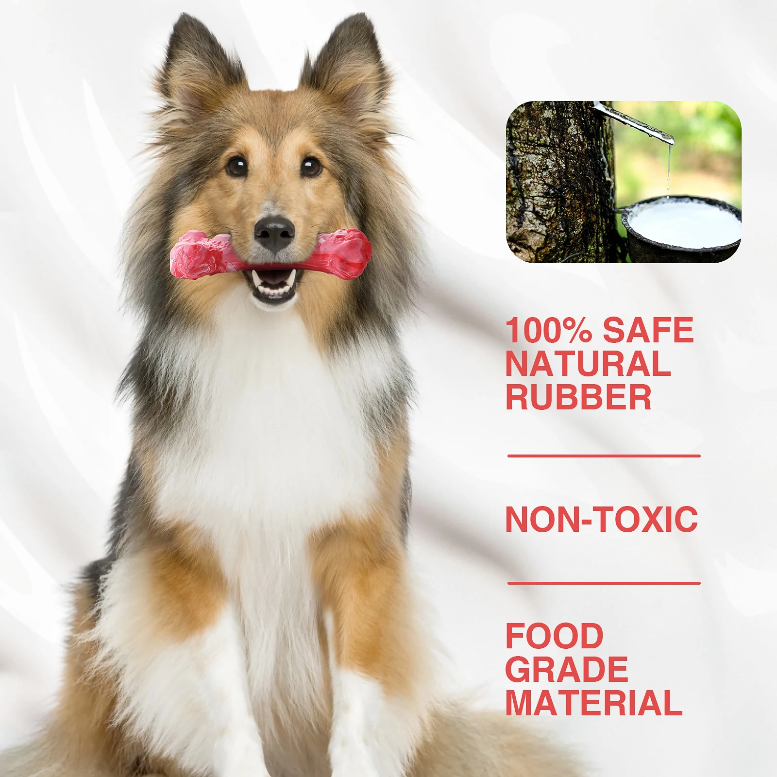 Pet Dog Toy for Chewers Treat Dispensing Durable Rubber Toothbrush Cleaning Toy Puppy Chewing Supplies Dog Accessories Pet Dog Toy for Chewers Treat Dispensing Durable Rubber Toothbrush Cleaning Toy Puppy Chewing Supplies Dog Accessories