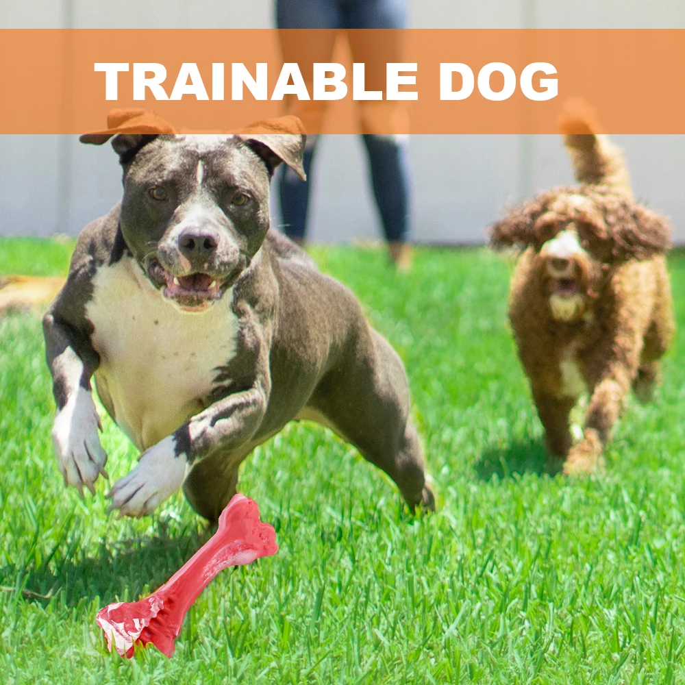 Pet Dog Toy for Chewers Treat Dispensing Durable Rubber Toothbrush Cleaning Toy Puppy Chewing Supplies Dog Accessories Pet Dog Toy for Chewers Treat Dispensing Durable Rubber Toothbrush Cleaning Toy Puppy Chewing Supplies Dog Accessories