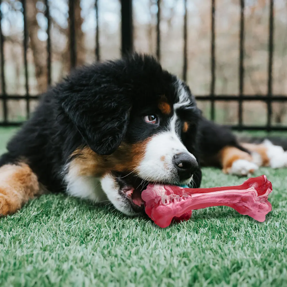 Pet Dog Toy for Chewers Treat Dispensing Durable Rubber Toothbrush Cleaning Toy Puppy Chewing Supplies Dog Accessories Pet Dog Toy for Chewers Treat Dispensing Durable Rubber Toothbrush Cleaning Toy Puppy Chewing Supplies Dog Accessories