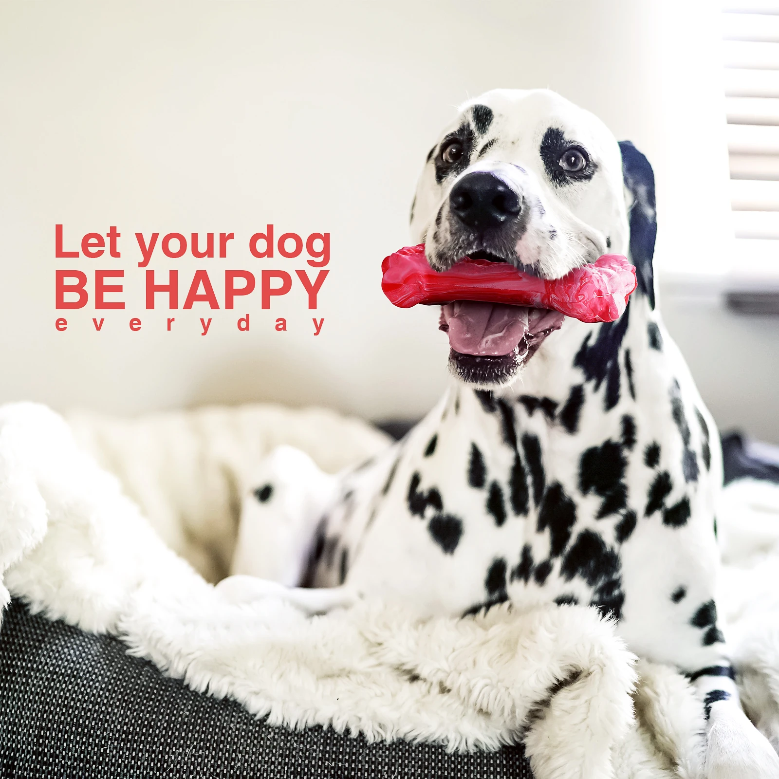 Pet Dog Toy for Chewers Treat Dispensing Durable Rubber Toothbrush Cleaning Toy Puppy Chewing Supplies Dog Accessories Pet Dog Toy for Chewers Treat Dispensing Durable Rubber Toothbrush Cleaning Toy Puppy Chewing Supplies Dog Accessories