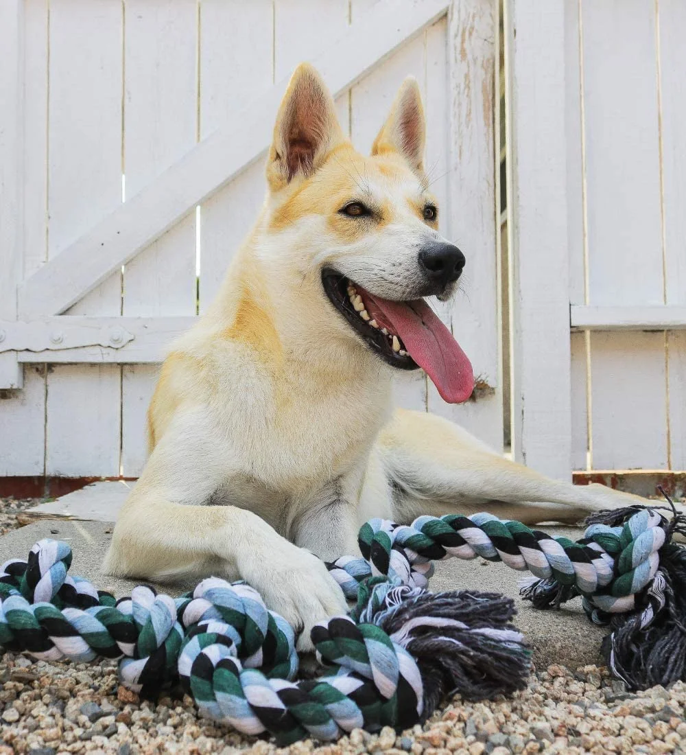 ATUBAN Giant Dog Rope Toy for Extra Large Dogs-Indestructible Dog Toy for Aggressive Chewers and Large Breeds 42IN Long 6 Knot