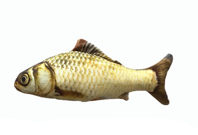 Crucian