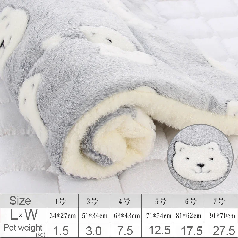 Grey bear