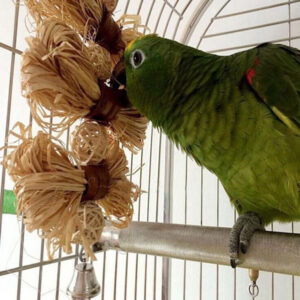 Chewing Toys For Birds