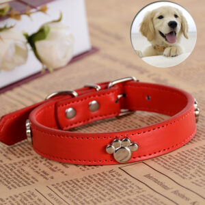 Casual Leather Collars For Dogs