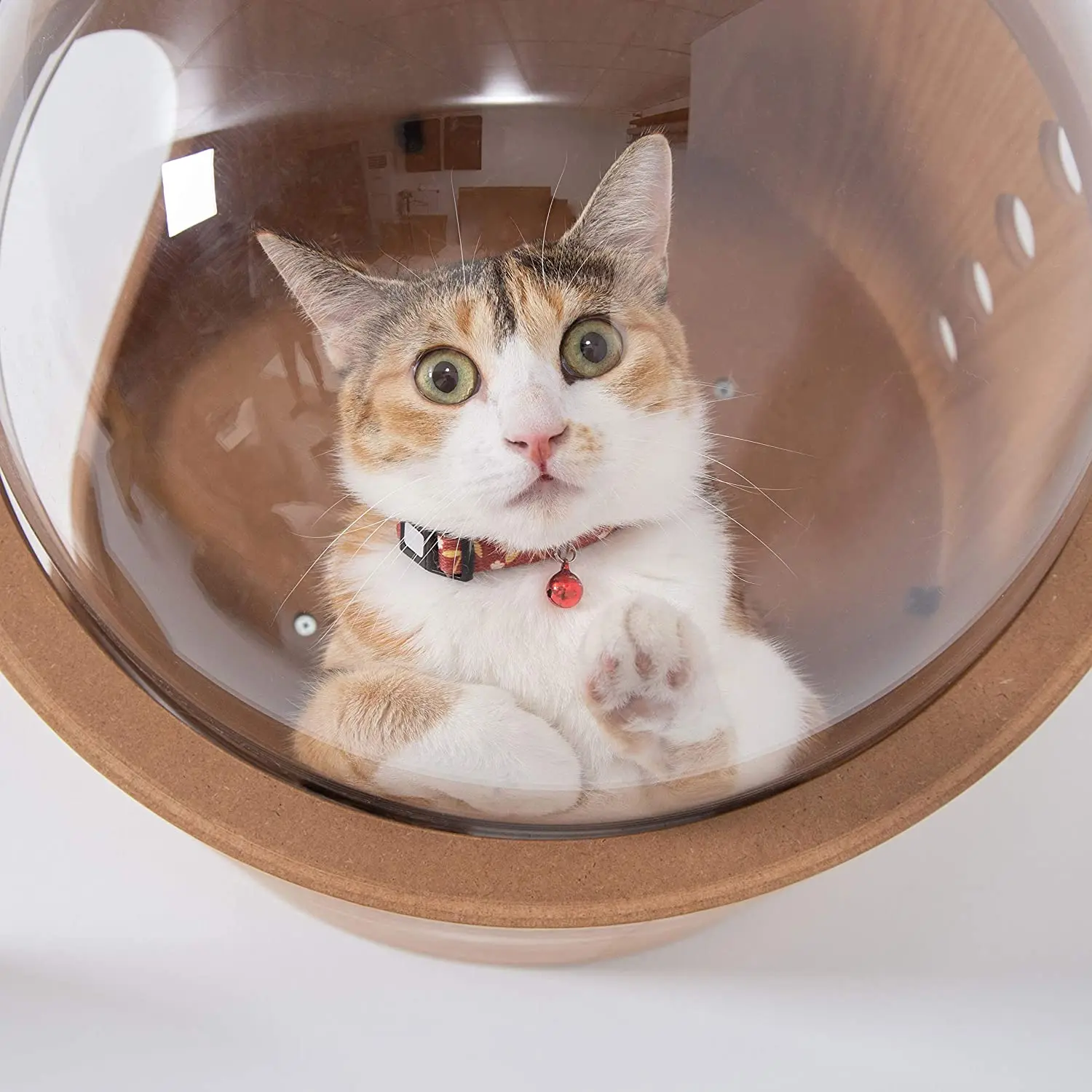 Spaceship Gamma Pet Bed for Cat & Dog Window Perch Cat Tree Made of Wood Wall Mounted Cat Bed Indoor Cat DIY Mansion