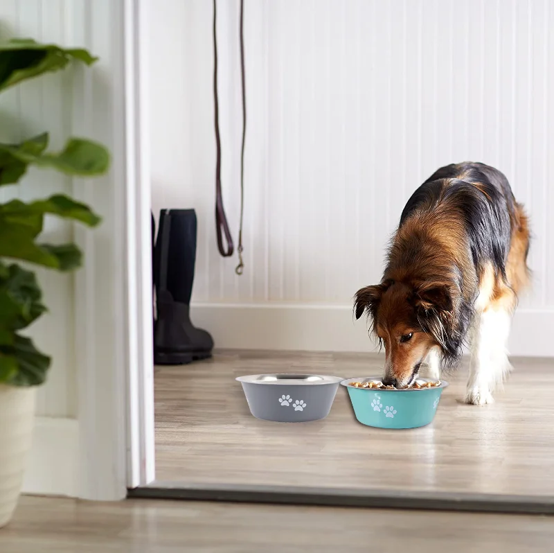 Non-slip Dog Bowls For Small Medium Large Dog Feeder Bowls And Drinkers Stainless Steel Pet Feeders Pets Dogs Accessories Non-slip Dog Bowls For Small Medium Large Dog Feeder Bowls And Drinkers Stainless Steel Pet Feeders Pets Dogs Accessories