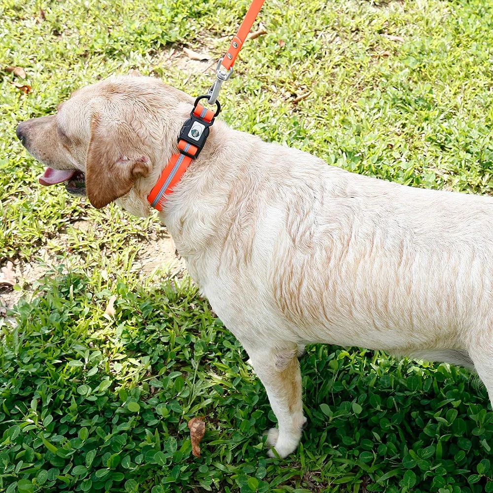 Dog Collar Waterproof Pet Collars Anti-Odor Durable Adjustable Polyester Soft with Reflective Stripe Basic Dog Collars S/M/L