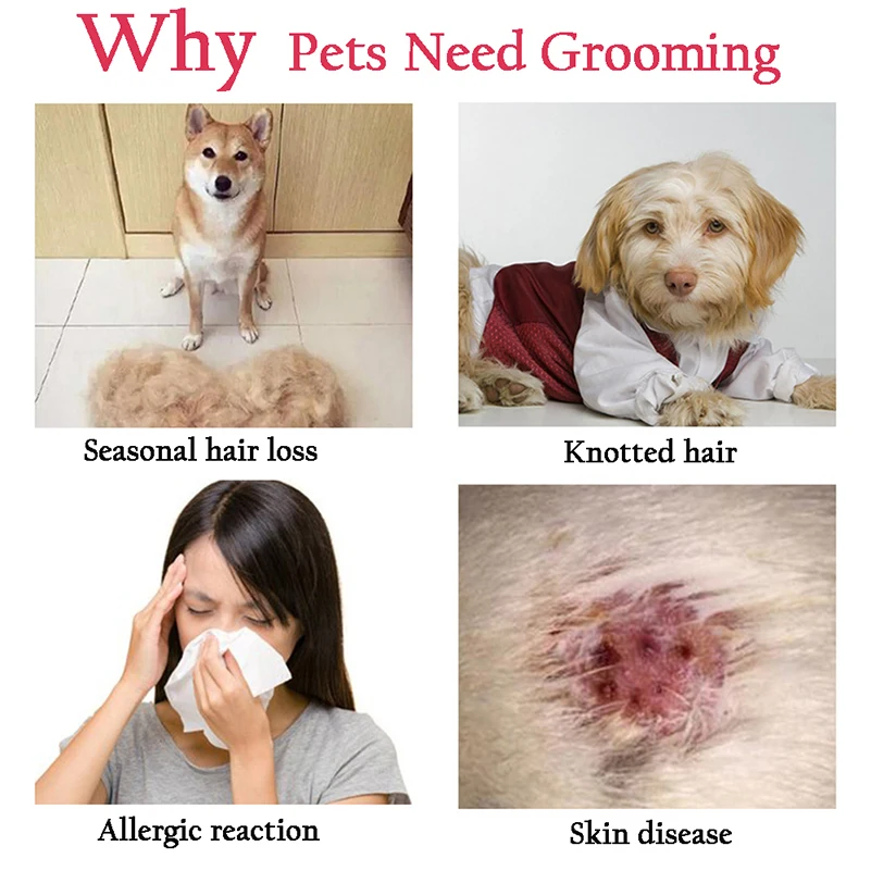 Professional Pet Deshedding Brush Dog Hair Remover Pet Fur Knot Cutter Puppy Cat Comb Brushes Dogs Grooming Shedding Supplies Professional Pet Deshedding Brush Dog Hair Remover Pet Fur Knot Cutter Puppy Cat Comb Brushes Dogs Grooming Shedding Supplies