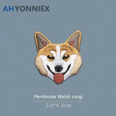 Pembroke Welsh corgi