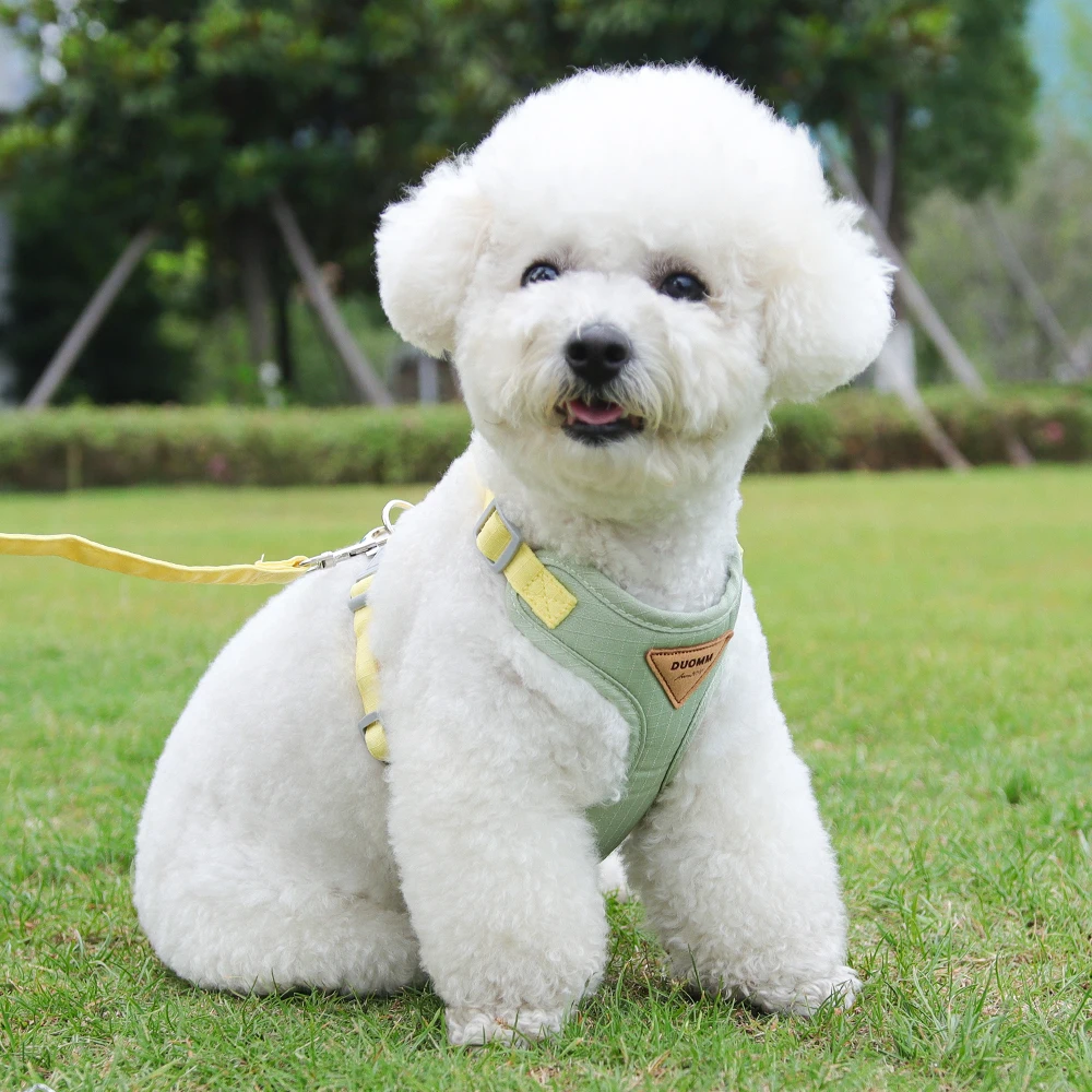 Newest Puppy Dog Harness and Leash Set for Small Dogs Adjustable Pet Harnesses Chihuahua Poodle Bichon Cat mascotas Accessories