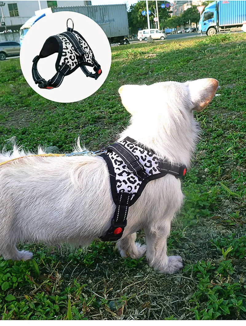 New Dog Harness Large Dog Pet Dog Saddle Harness Explosion-proof Punch Teddy Ke Fund Hair Samoyed Dog Supplies New Dog Harness Large Dog Pet Dog Saddle Harness Explosion-proof Punch Teddy Ke Fund Hair Samoyed Dog Supplies