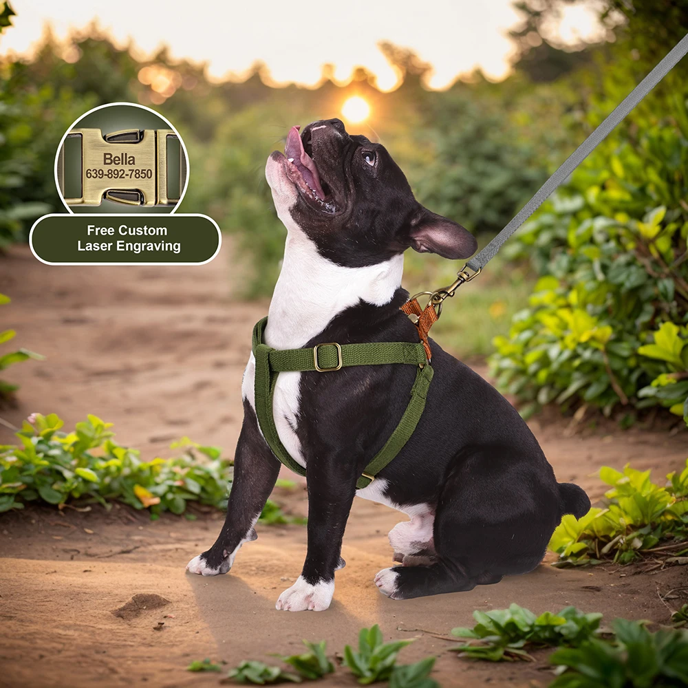 Personalized Dog Harness Soft Nylon Dog Harnesses Reflective Pet Vest Free Custom Harness For Small Medium Dogs Pitbull Bulldog