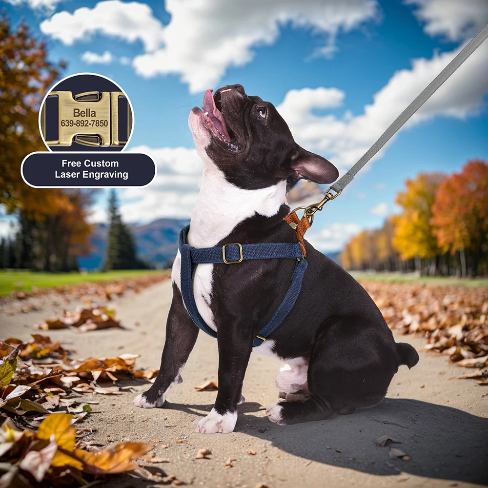 Personalized Dog Harness Soft Nylon Dog Harnesses Reflective Pet Vest Free Custom Harness For Small Medium Dogs Pitbull Bulldog