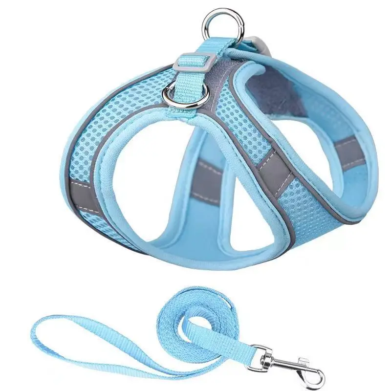 blue set