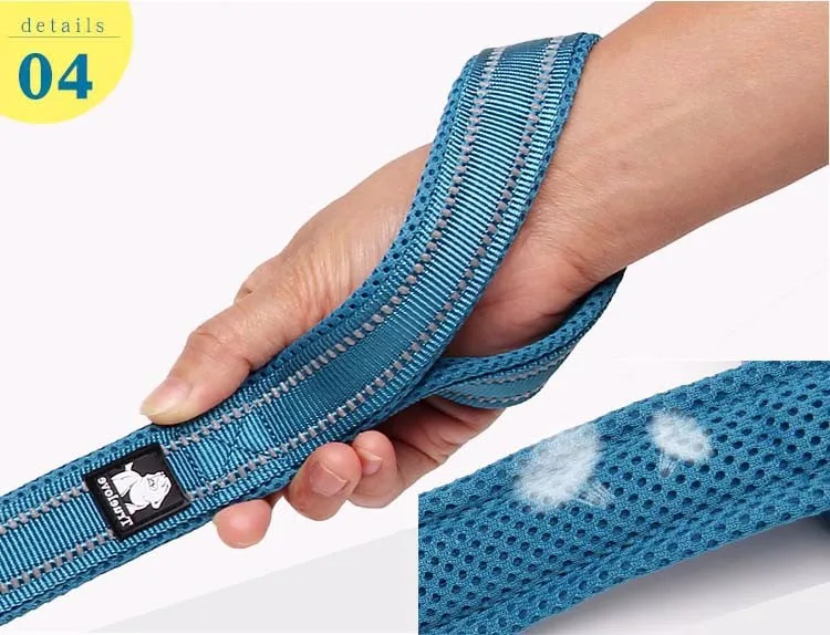 Truelove Soft Pet Leash Reflective Nylon Mesh Padded Puppy Large Dog or Cat Walking Training 11 Color 200cm TLL2112 Dropshipping Truelove Soft Pet Leash Reflective Nylon Mesh Padded Puppy Large Dog or Cat Walking Training 11 Color 200cm TLL2112 Dropshipping