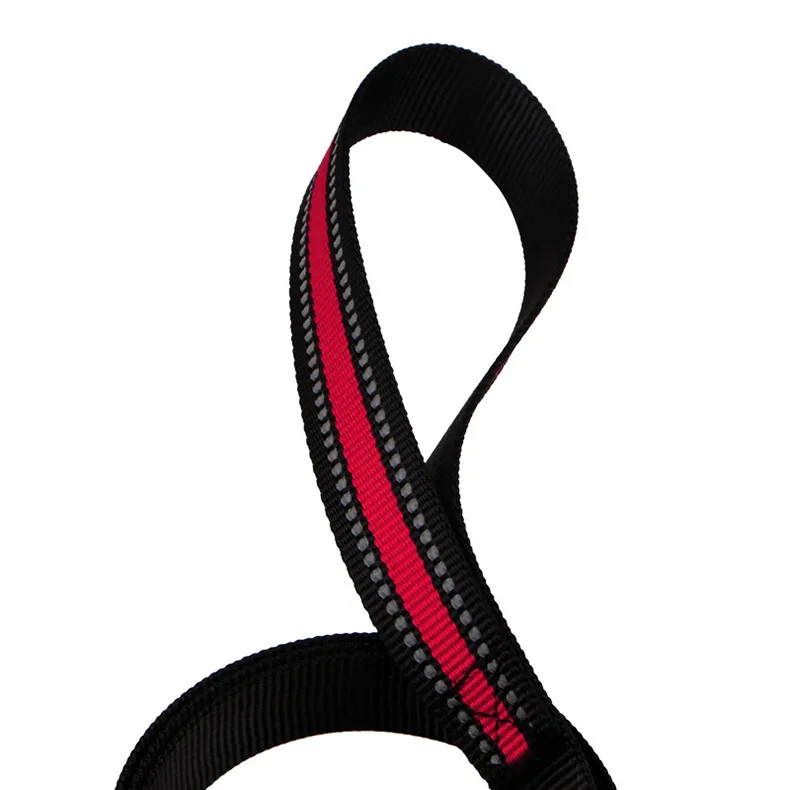 Dog Leash Reflective Dogs Chain Nylon Leashes for Small Dog Walking Puppy Training Ropes Dogs Leashes Puppy Leash Pet Supplies