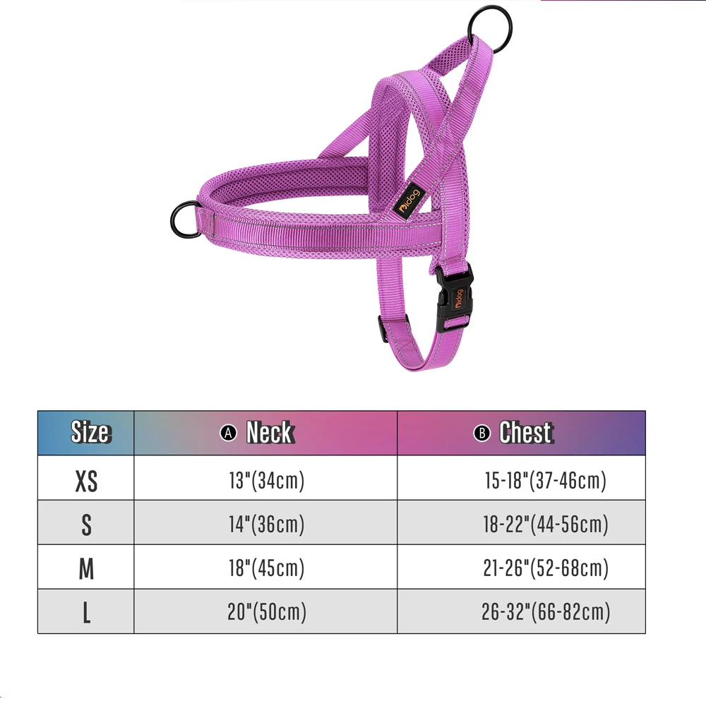 049 Purple