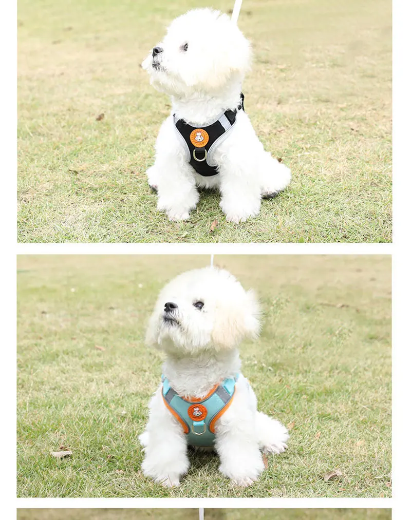 Adjustable dog harness no pull cute cat soft walking leash set pet dog vest vest teddy beagle suitable for small and medium dogs Adjustable dog harness no pull cute cat soft walking leash set pet dog vest vest teddy beagle suitable for small and medium dogs