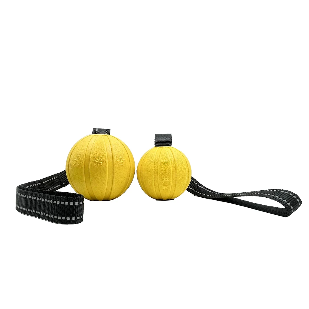 Dog Toy Balls On a Rope for Small Medium Large Dogs Chewers, Durable Interactive Ball for Training Dogs, EVA Foam Ball Floats